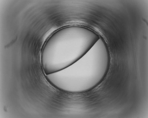 X0000103171275200808221120