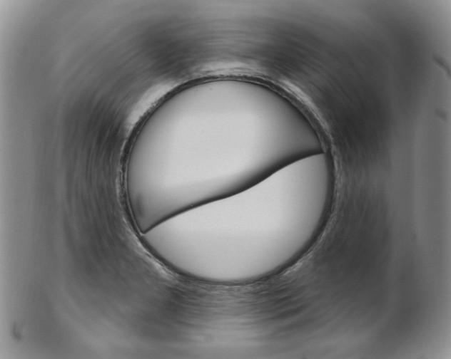 X0000103171277200808221120
