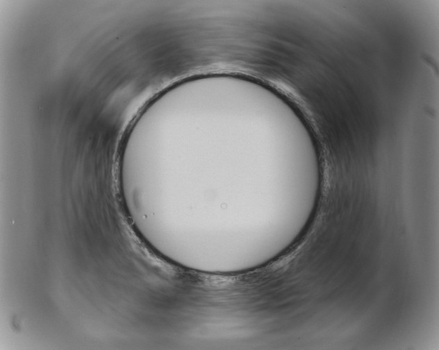 X0000103171278200808221120