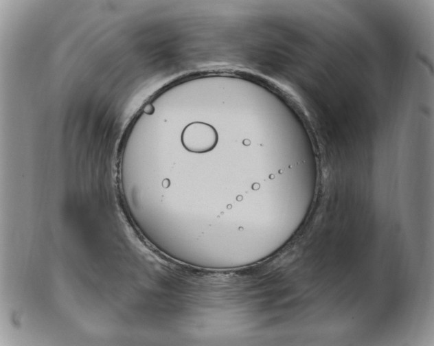 X0000103171279200808221120