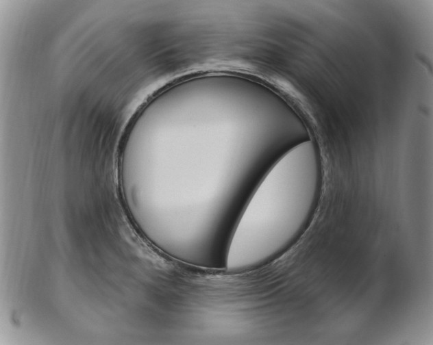 X0000103171280200808221120