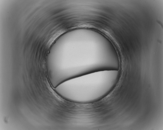 X0000103171281200808221120