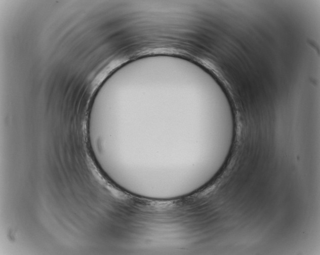 X0000103171282200808221120