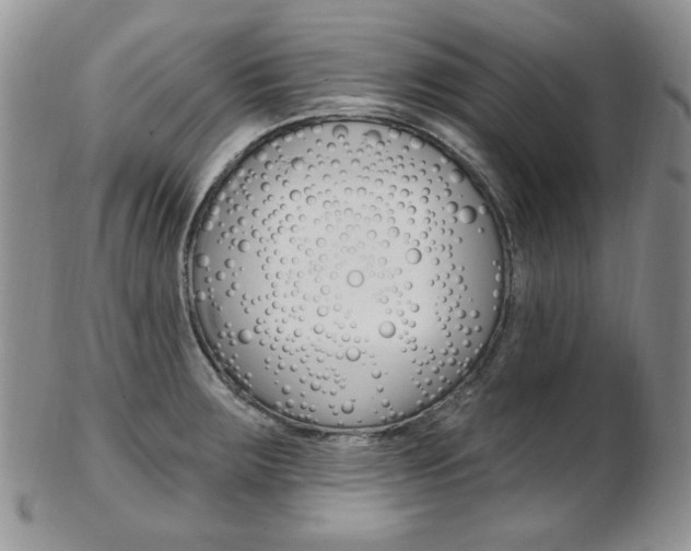 X0000103171283200808221120