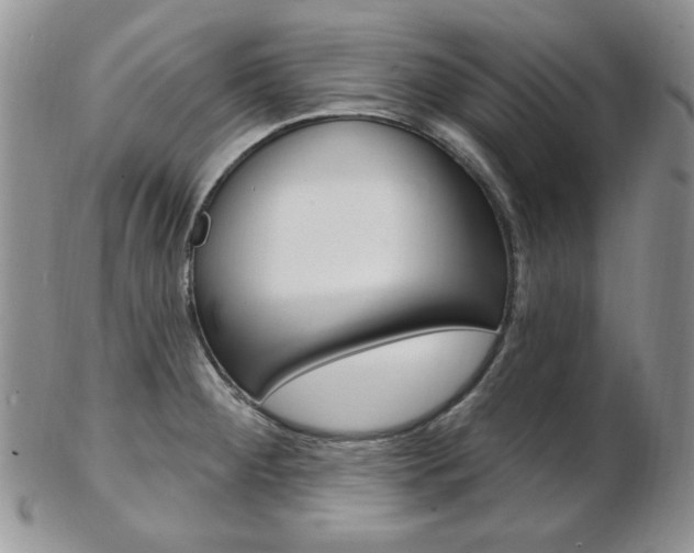 X0000103171284200808221120