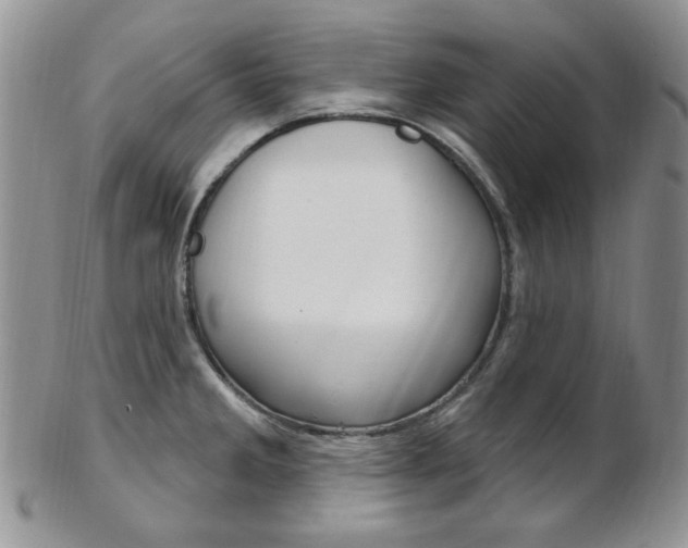X0000103171285200808221120