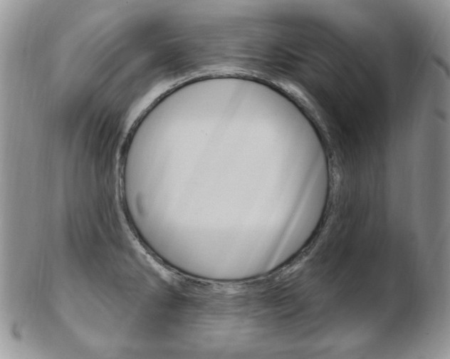 X0000103171286200808221120