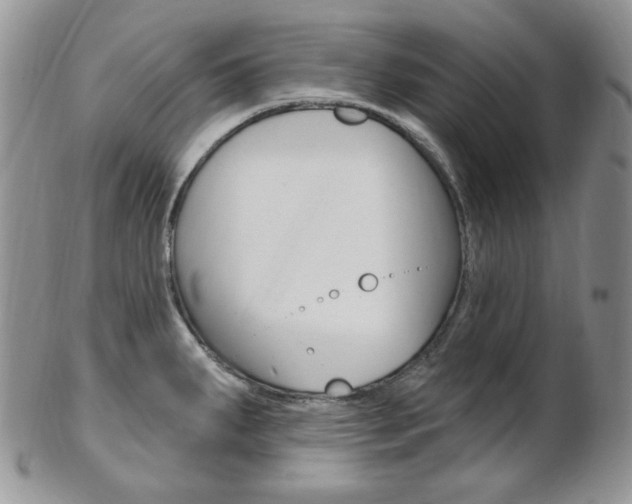 X0000103171287200808221120