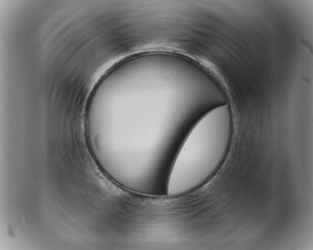 X0000103171288200808221120