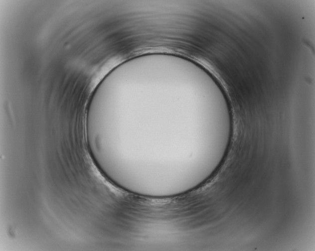 X0000103171290200808221120