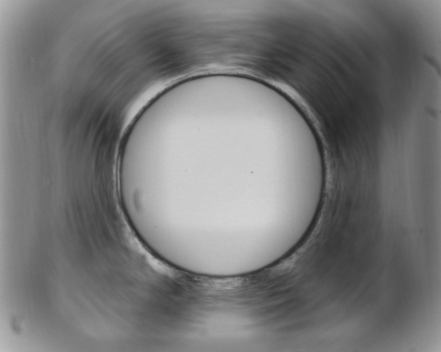 X0000103171294200808221120