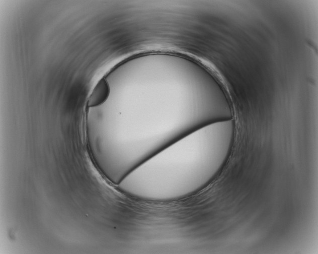 X0000103171295200808221120