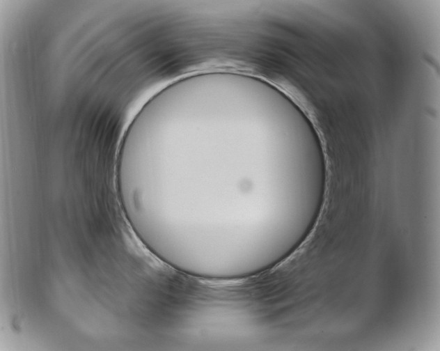 X0000103171296200808221120