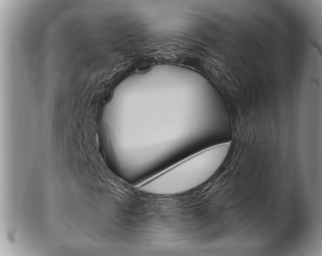 X0000103171297200808221119