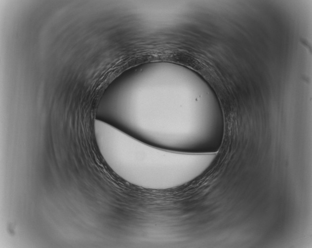 X0000103171298200808221119