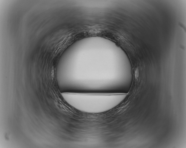 X0000103171299200808221119