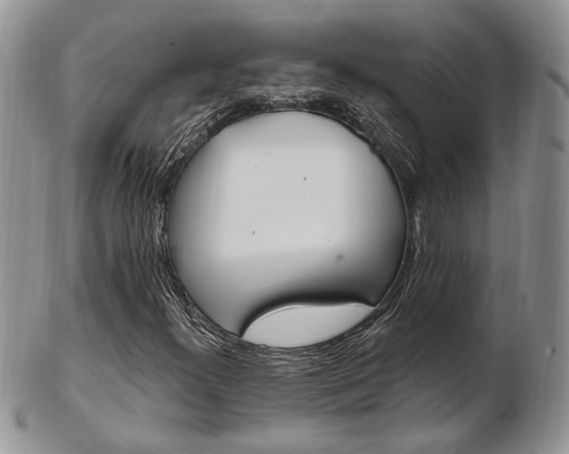 X0000103171300200808221119
