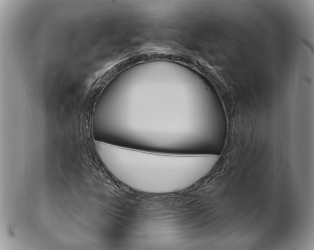 X0000103171303200808221119