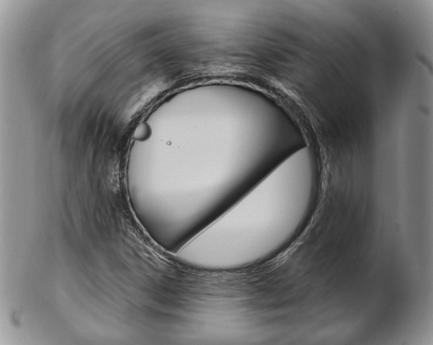 X0000103171306200808221119