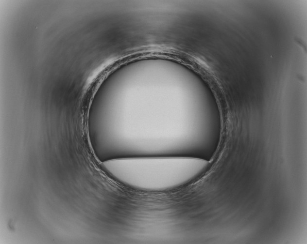 X0000103171310200808221119