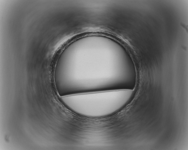 X0000103171311200808221119