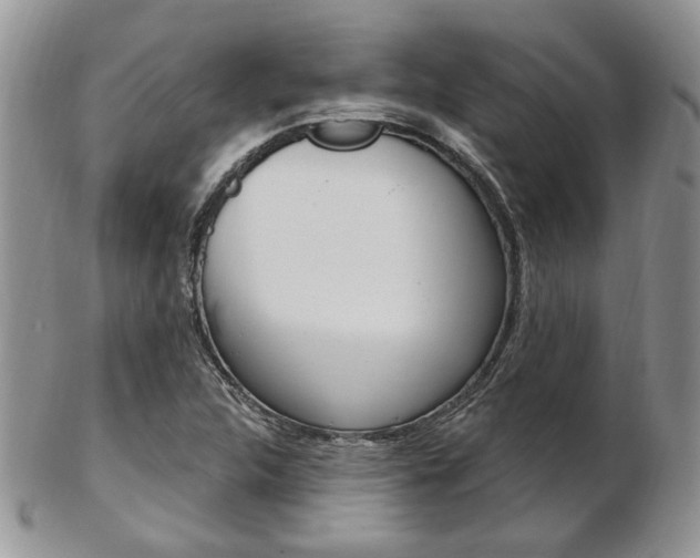 X0000103171312200808221119