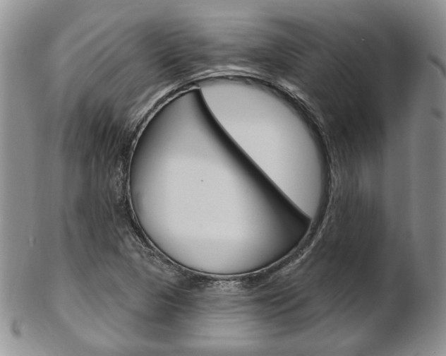 X0000103171313200808221119