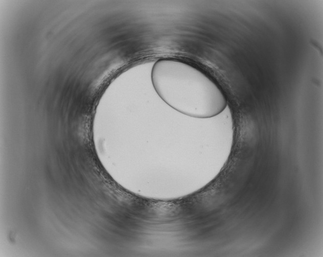X0000103171314200808221119