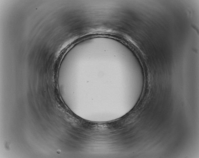 X0000103171315200808221119