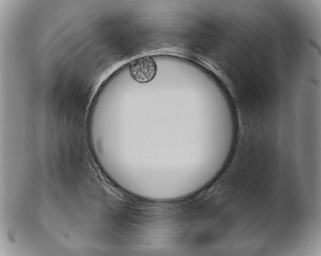 X0000103171316200808221119