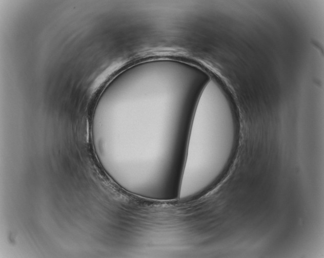 X0000103171317200808221119