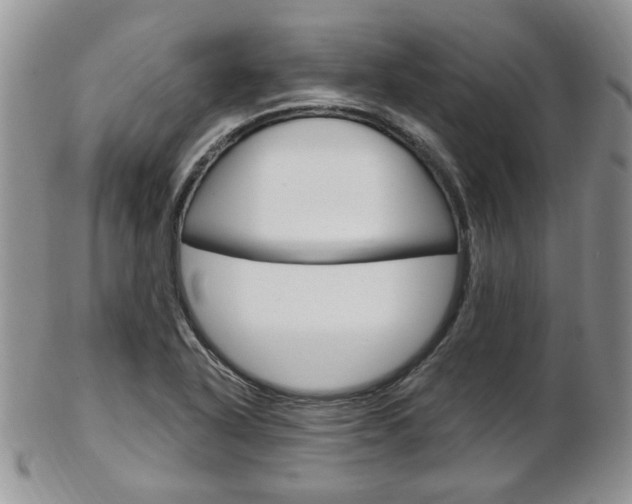 X0000103171318200808221119