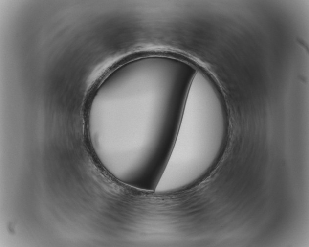 X0000103171319200808221119