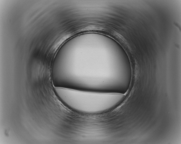 X0000103171321200808221119
