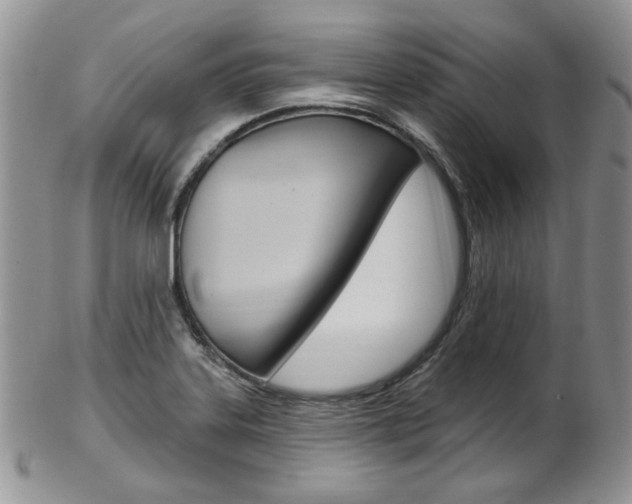X0000103171323200808221119