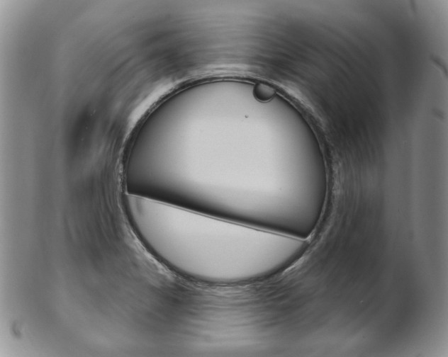 X0000103171325200808221119