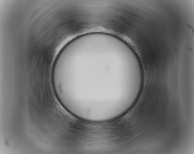 X0000103171326200808221119