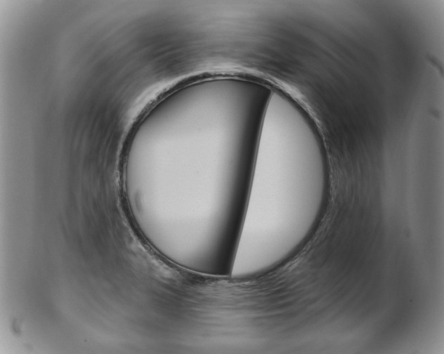 X0000103171327200808221119