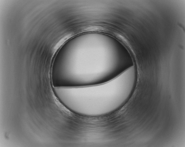 X0000103171330200808221119