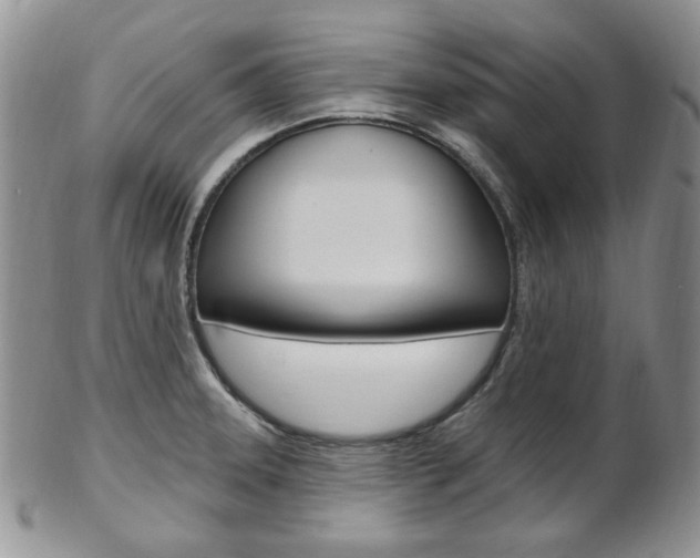 X0000103171331200808221120