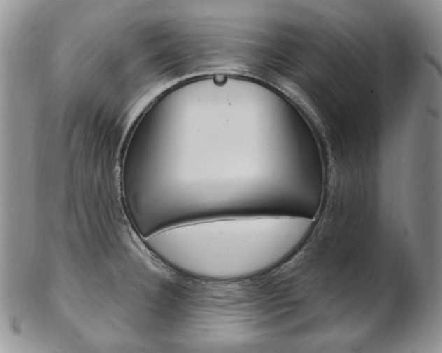 X0000103171332200808221120