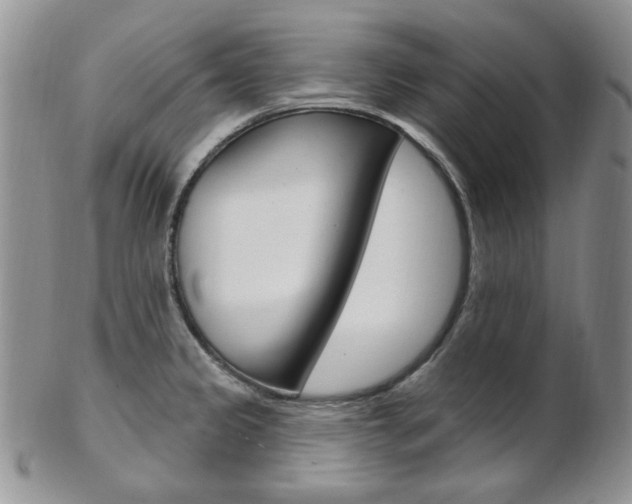 X0000103171333200808221120