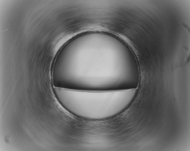 X0000103171335200808221120