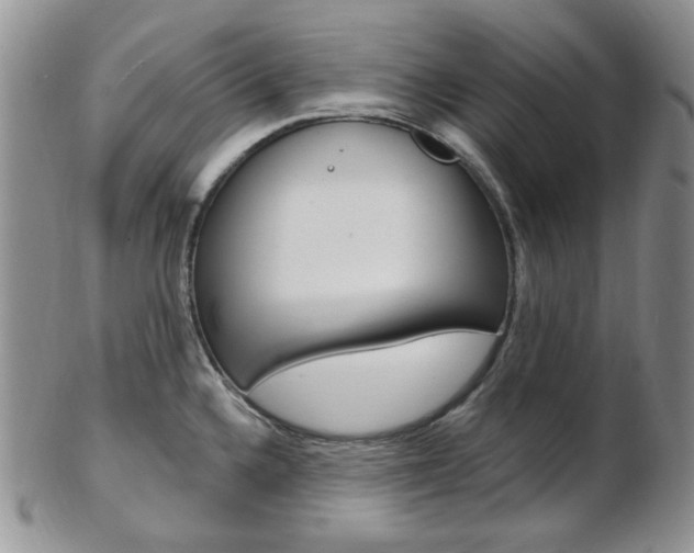 X0000103171336200808221120