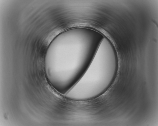 X0000103171337200808221120