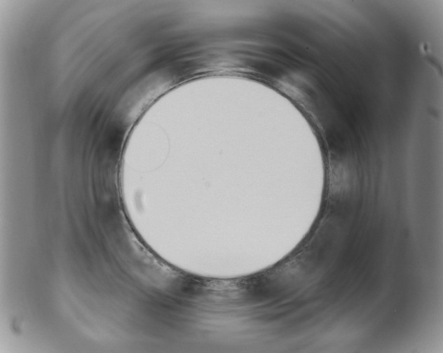 X0000103171338200808221120