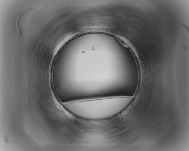 X0000103171341200808221120