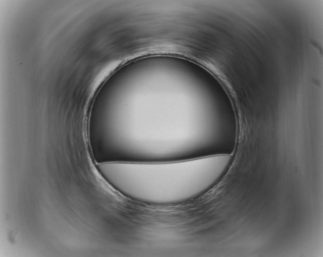 X0000103171342200808221120