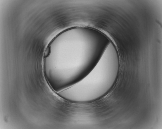 X0000103171343200808221120