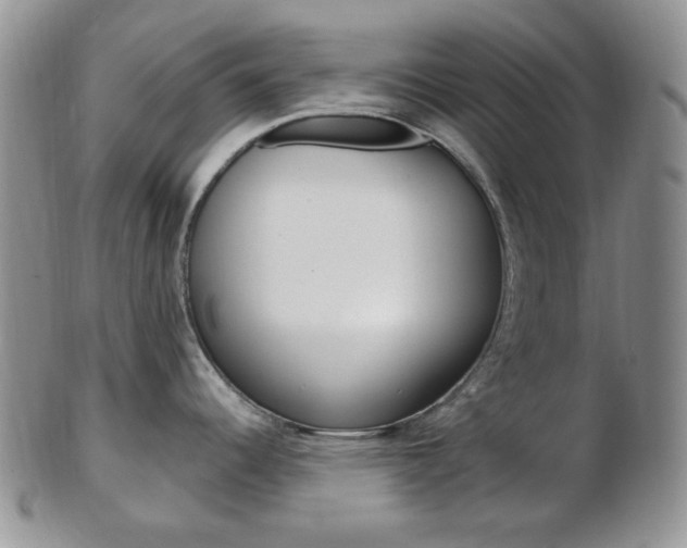 X0000103171344200808221120